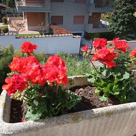 Villa Nerina Alloggio Turistico Anzio Zewnętrze zdjęcie