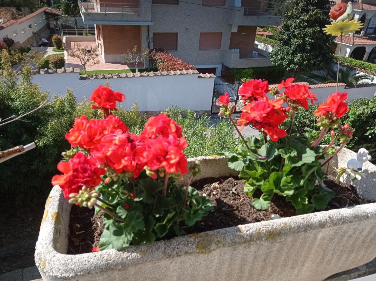 Villa Nerina Alloggio Turistico Anzio Zewnętrze zdjęcie