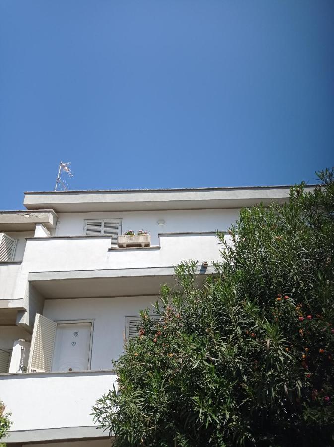 Villa Nerina Alloggio Turistico Anzio Zewnętrze zdjęcie