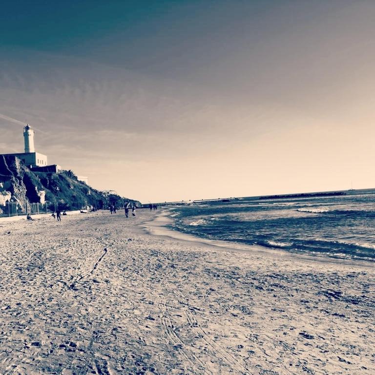 Villa Nerina Alloggio Turistico Anzio Zewnętrze zdjęcie